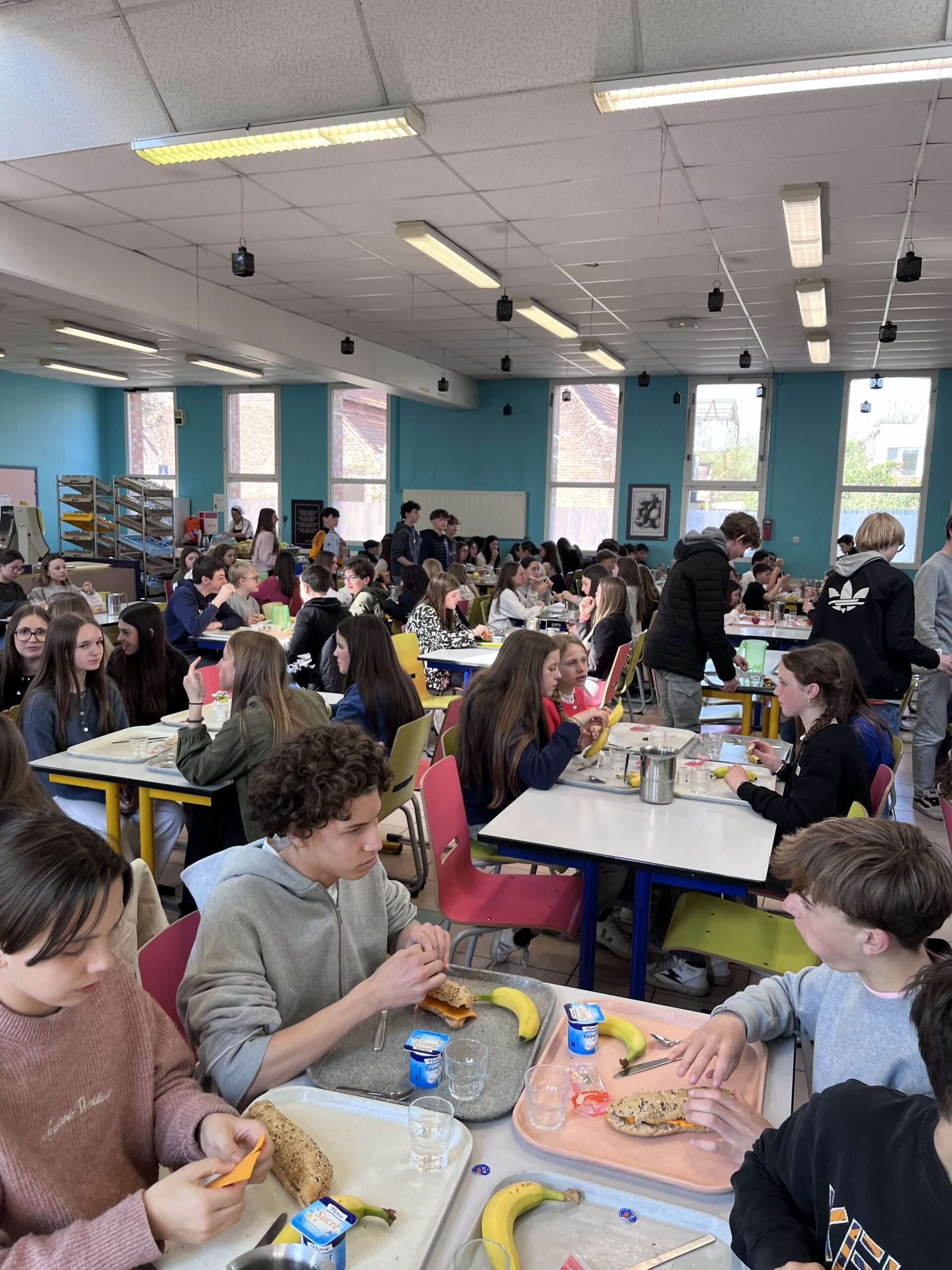 banque alimentaire cantine